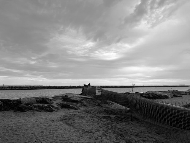 IMG_8414.jpg