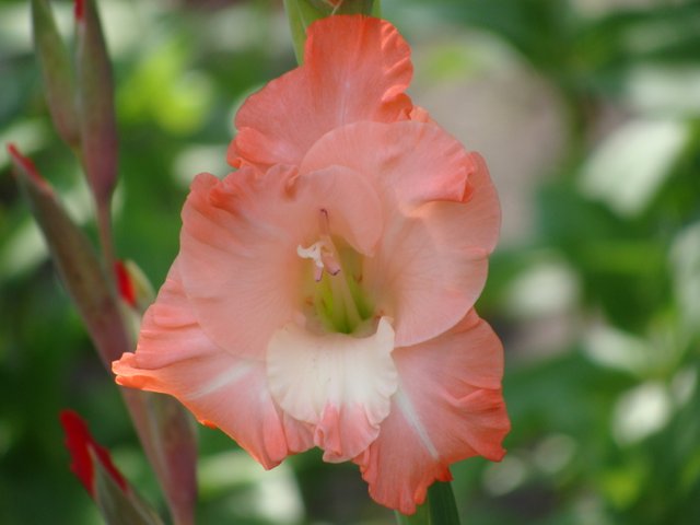 DSC09348.JPG