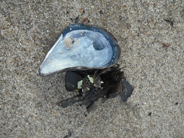 DSCF4061.jpg