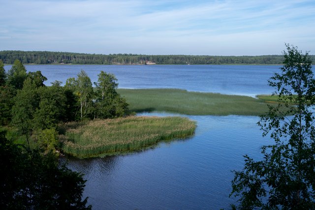 DSC08582.jpg