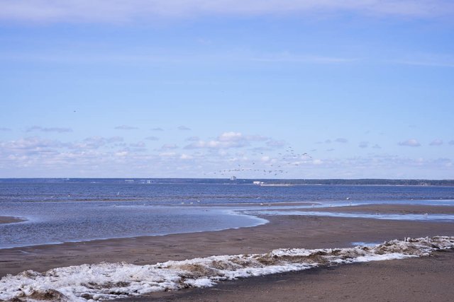 DSC02013.jpg