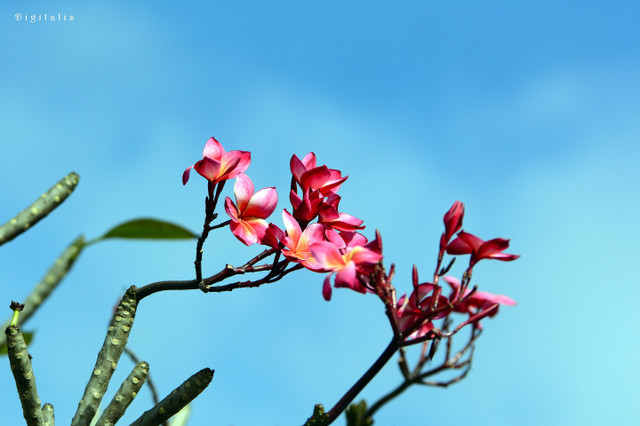 DSC_8394.JPG