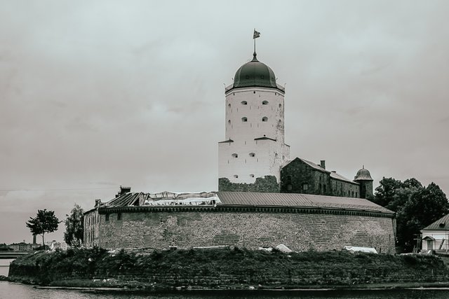 DSC09895.jpg