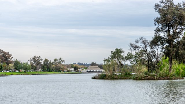 _DSC8726.jpg