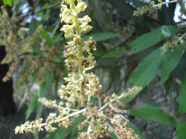 DSCN3778.JPG