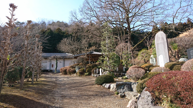 DSC_4910.JPG