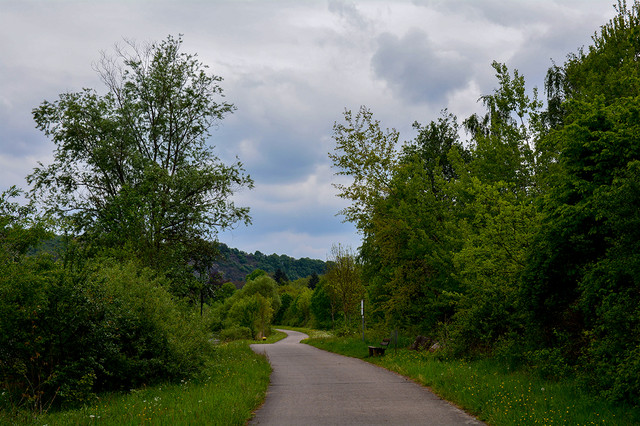 DSC_6872.jpg
