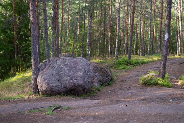 DSC08552.jpg
