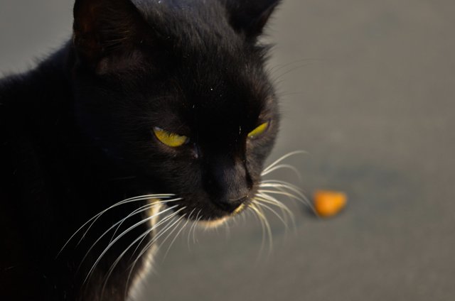 AHW_0084.jpg