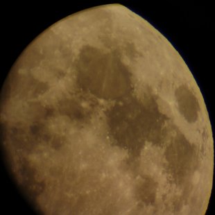 DSC_0049.jpg
