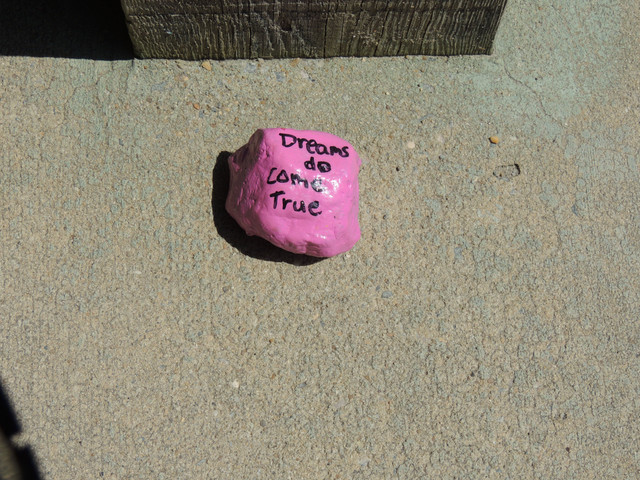 DSCN5719.JPG
