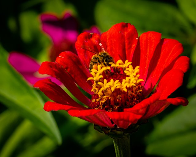 _DSC8855.jpg