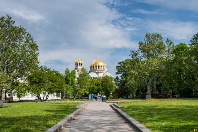 DSC_5572.jpg