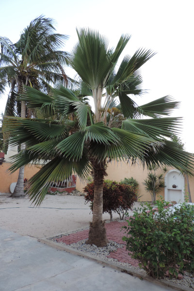 DSCN1266.JPG