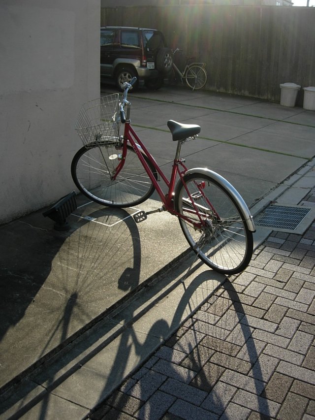 DSCN3629.JPG