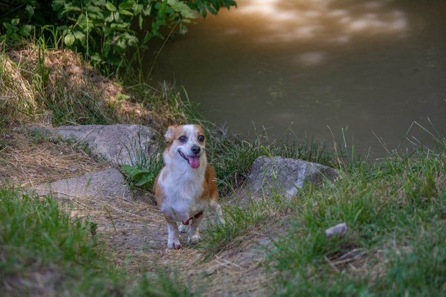 DSC_0134.jpg