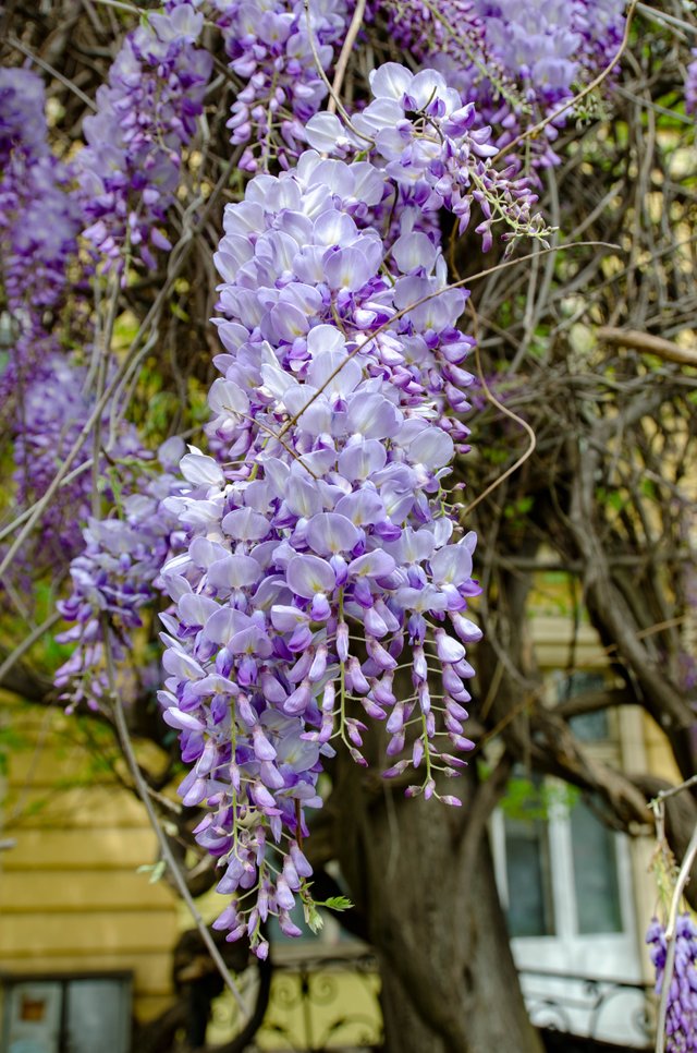 DSC_0046.jpg