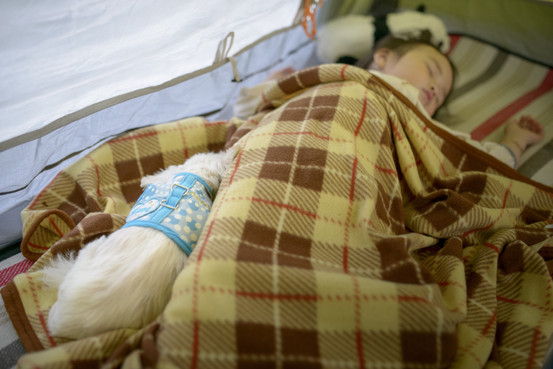_DSC5137.jpg