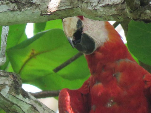IMG_1610.jpg