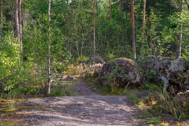 DSC08563.jpg