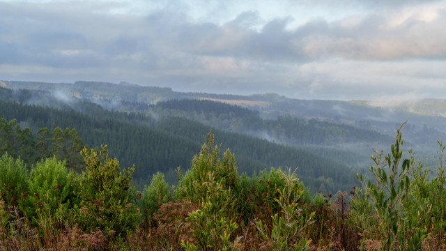 A1V06518.jpg