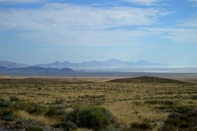 IMG_4469.JPG