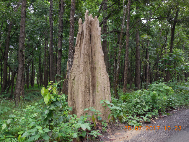 DSCN0960.JPG