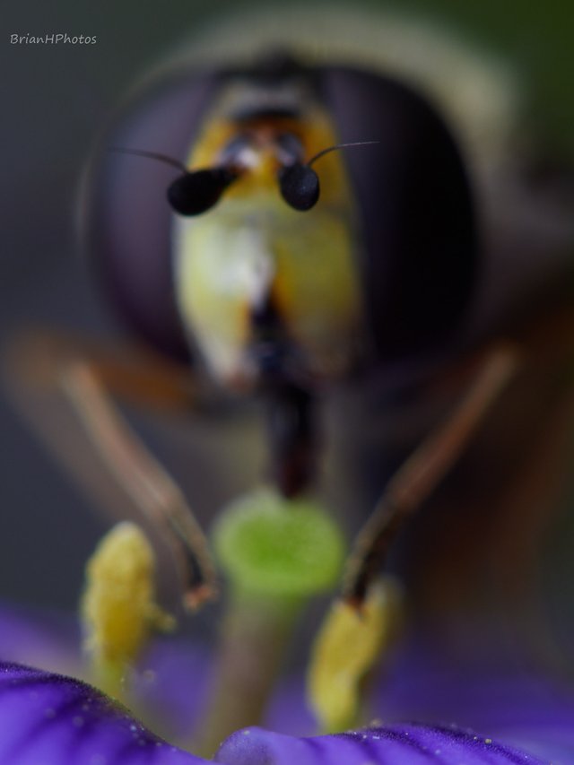 14240144.jpg