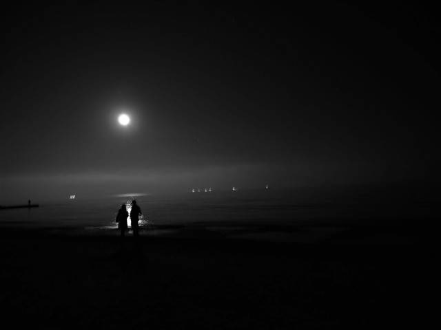 P1010343.jpg