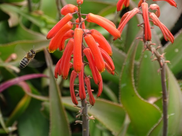 DSC00790.JPG