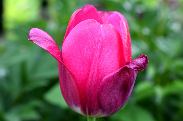 DSC_6435.jpg