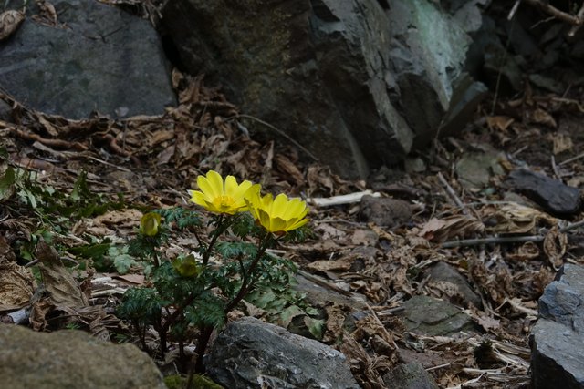 DSC03901.JPG