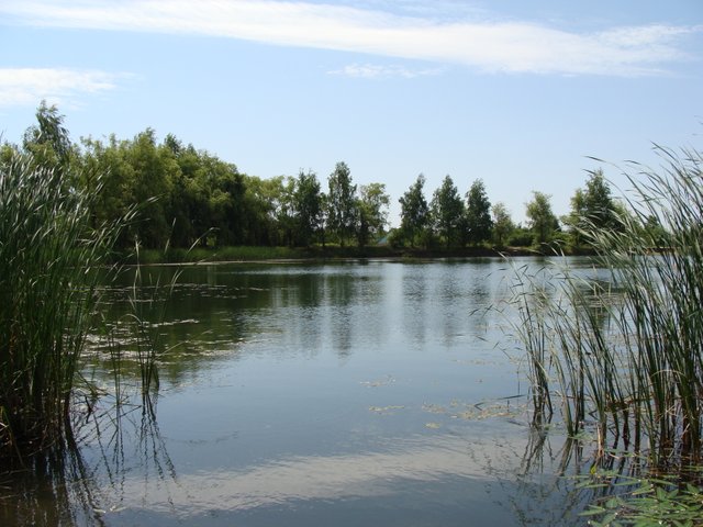 DSC04912.JPG