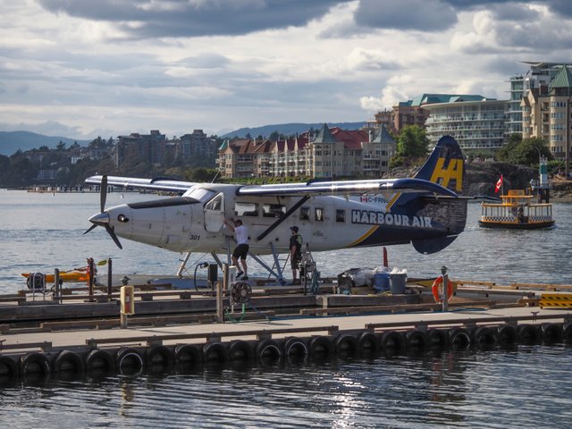 P9010139.jpg