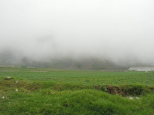 DSCI0060.JPG