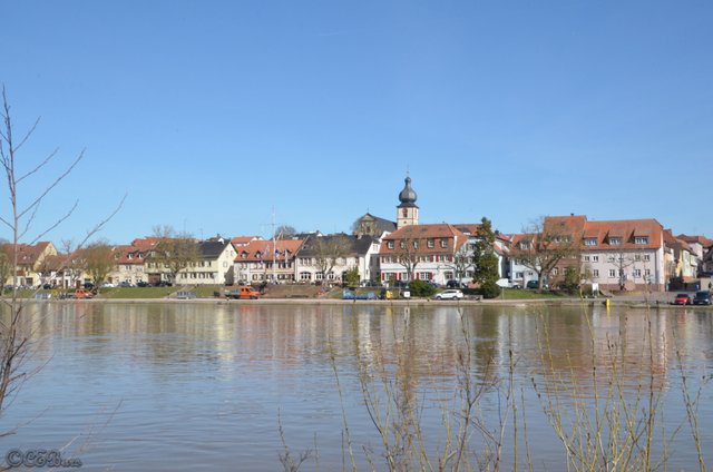 DSC_1072.JPG