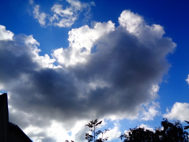 DSC02558.JPG