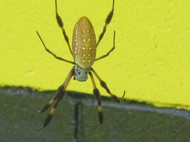 IMG_3800.JPG