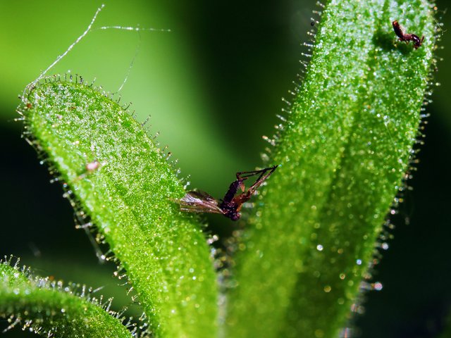 P6151749.JPG
