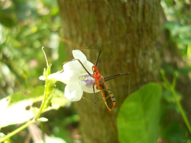 DSCN2796.JPG