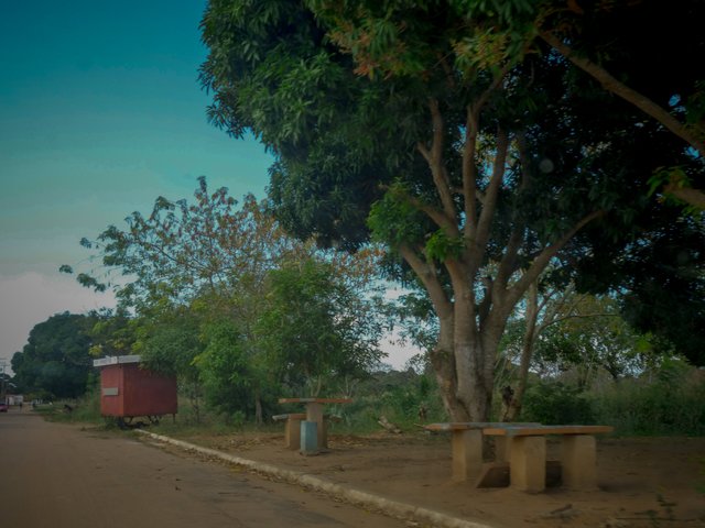 P1270022.jpg