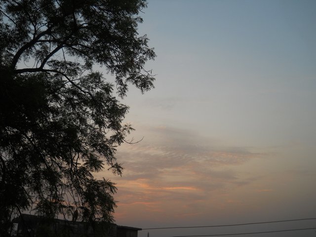 DSCN3522.JPG