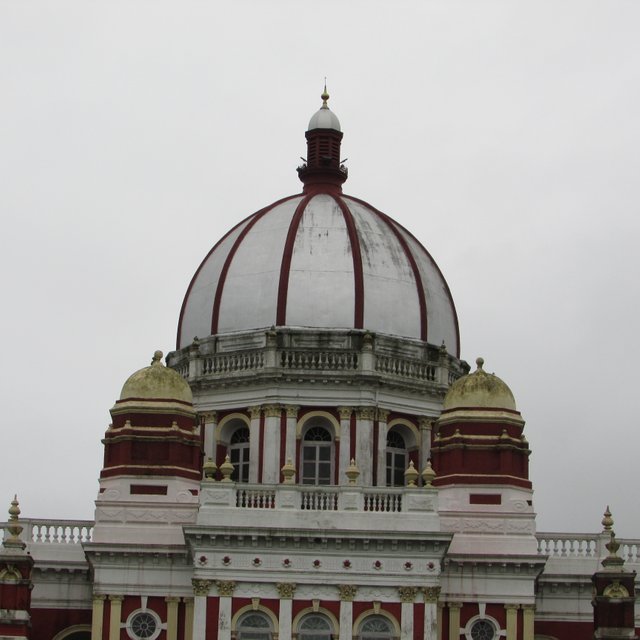 IMG_0050.JPG