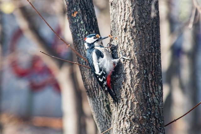 DSC_7190.jpg