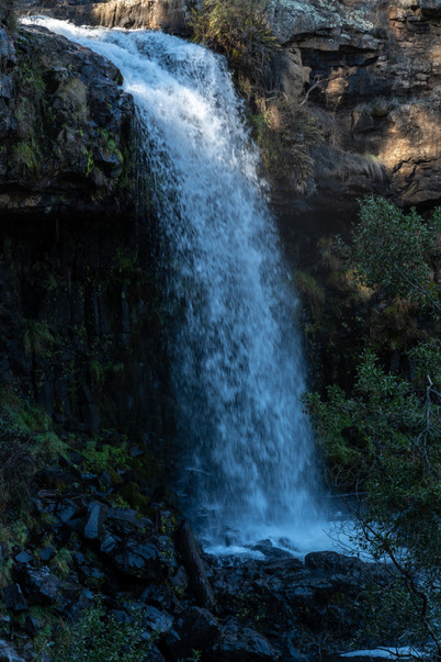 A1V06910.jpg