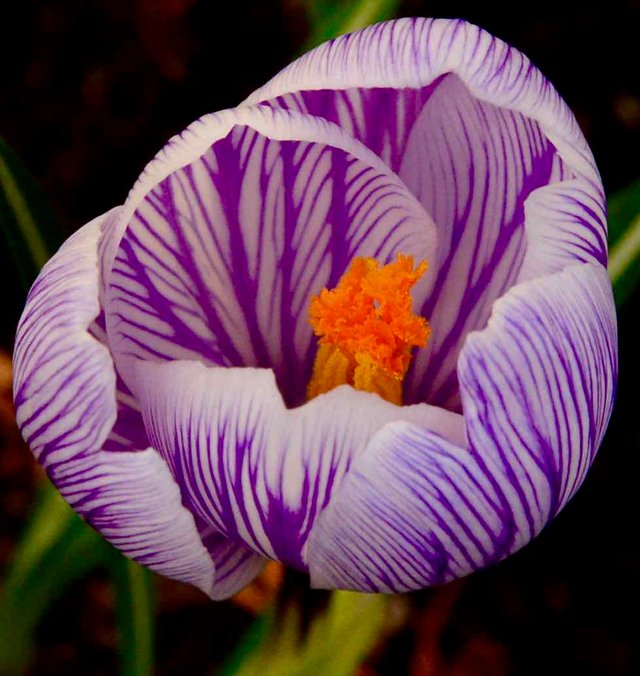 DSC_9831.jpg
