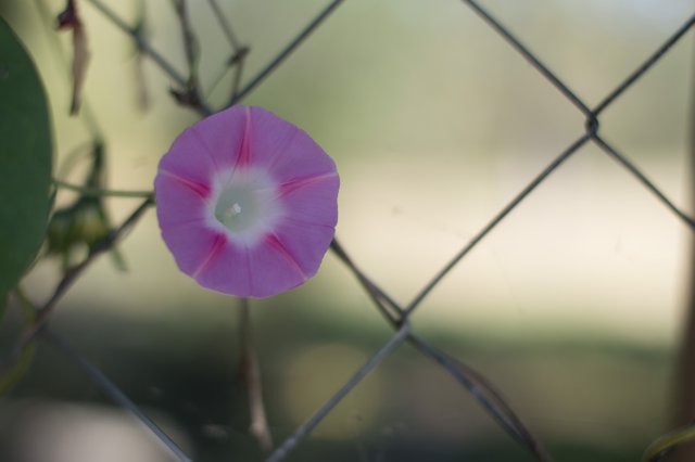 DSC_0168.jpg