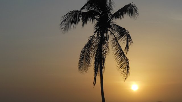 DSCN9286.JPG