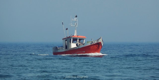 DSCN4845.JPG