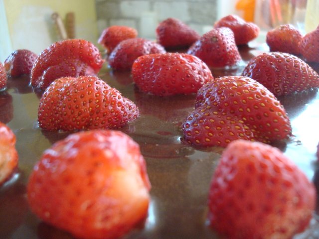 DSC00218.JPG